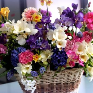 Sweet Orchid Fantasy